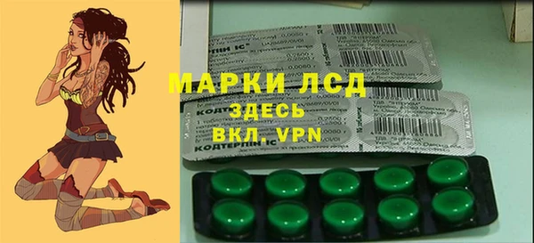 spice Вяземский